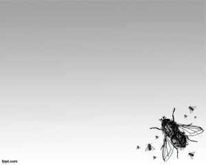 Flies PowerPoint Template