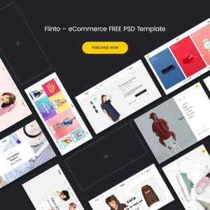 Flinto : Free eCommerce Ui Template