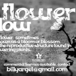 FLOWERFLOW Font