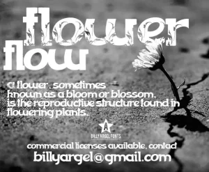 FLOWERFLOW Font