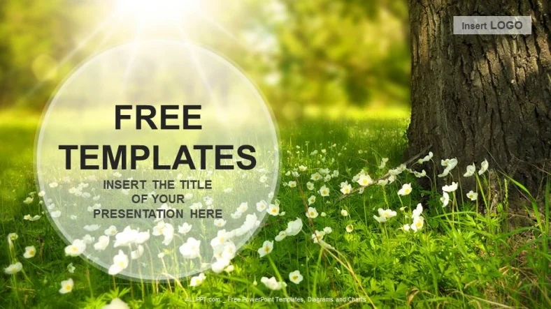 Flowers Meadow Nature PPT