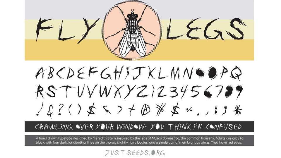 Fly Legs Font › Fontesk