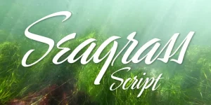 Font Bundle 5