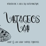 Font - VINTAGEOS VAIN