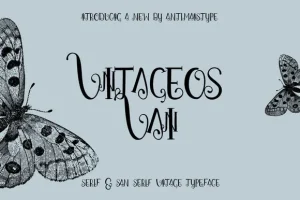 Font - VINTAGEOS VAIN
