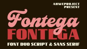 Fontega Font Duo › Fontesk