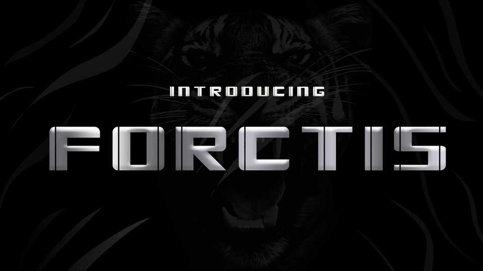 Forctis Font › Fontesk
