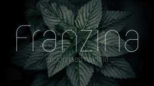Franzina Font › Fontesk