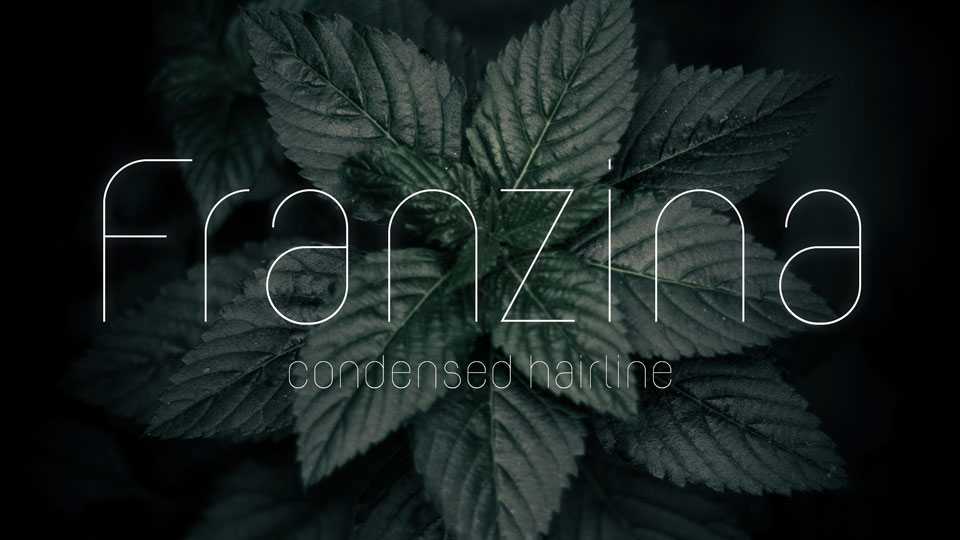 Franzina Font › Fontesk