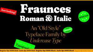 Fraunces Font Family › Fontesk