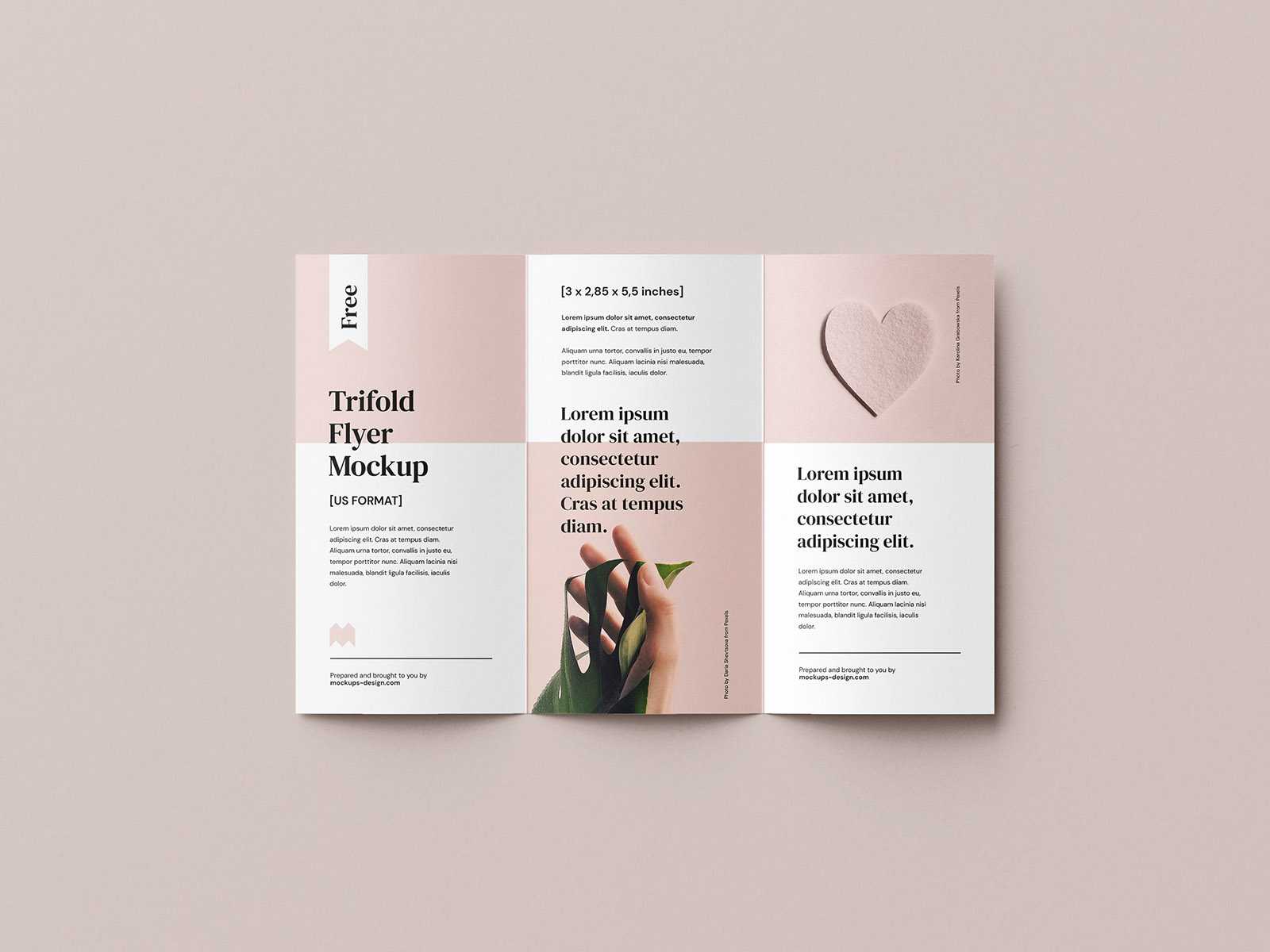 Free 2,85x5,5 in flyer mockup - Instant Download