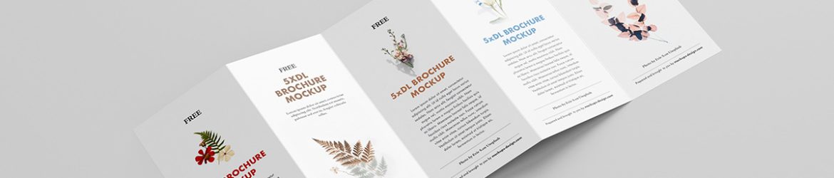 Free 5xDL leaflet mockup