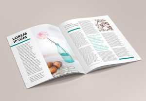 Free A4 brochure / Catalog mockup