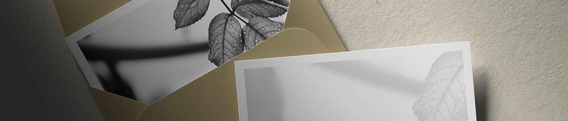 Free A5 Greeting Card Mockup (PSD)