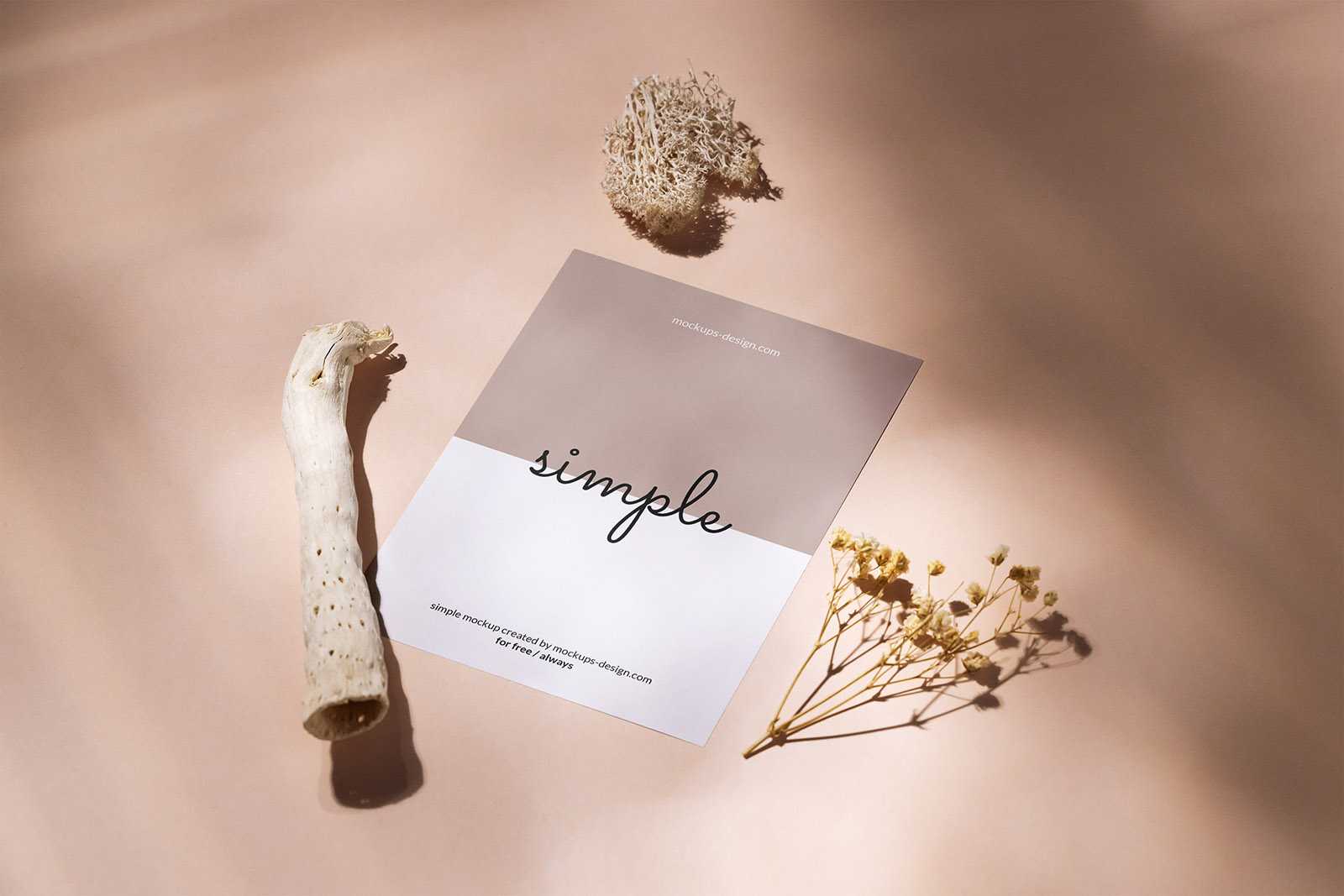 Free A6 flyer with dried plants mockup