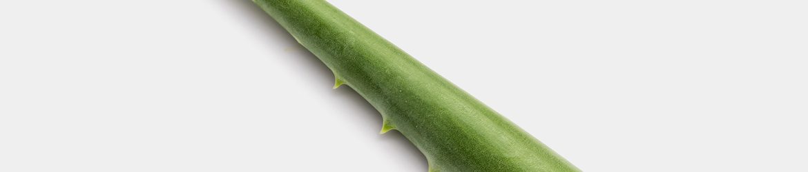 Free aloe image