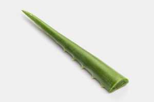 Free aloe image