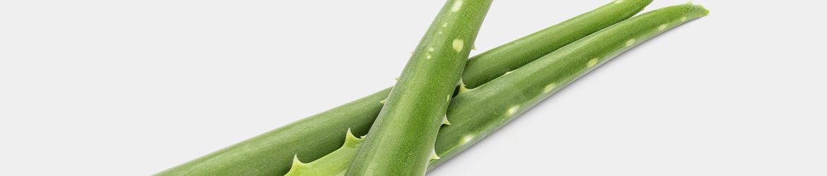 Free aloe vera image