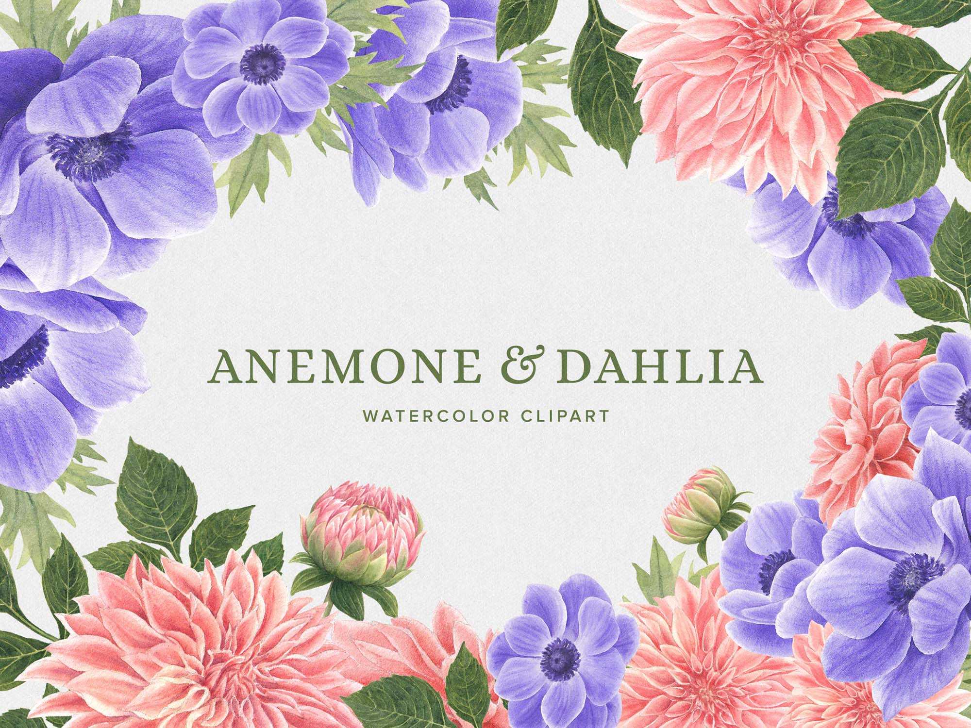 Free Anemone & Dahlia Flowers Clipart (PNG)