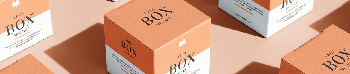 Free box (in grid layout) mockup