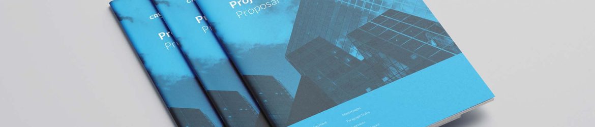 Free Business Proposal Template (Indesign)