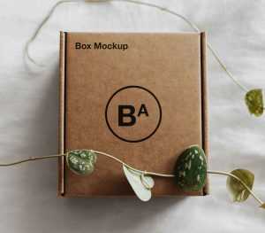 Free Craft Paper Box Mockup (PSD)