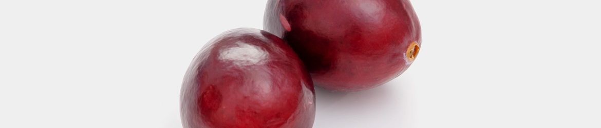 Free cranberries image
