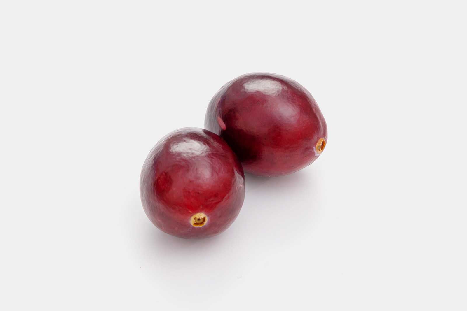Free cranberries image