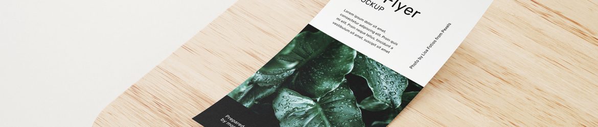 Free DL flyer mockup