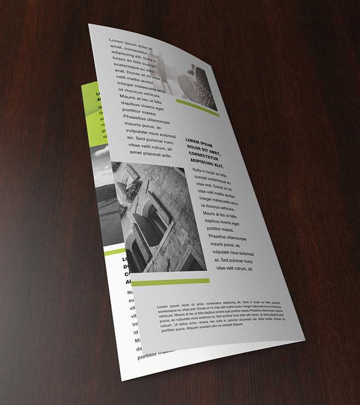 Free double DL leaflet mockup