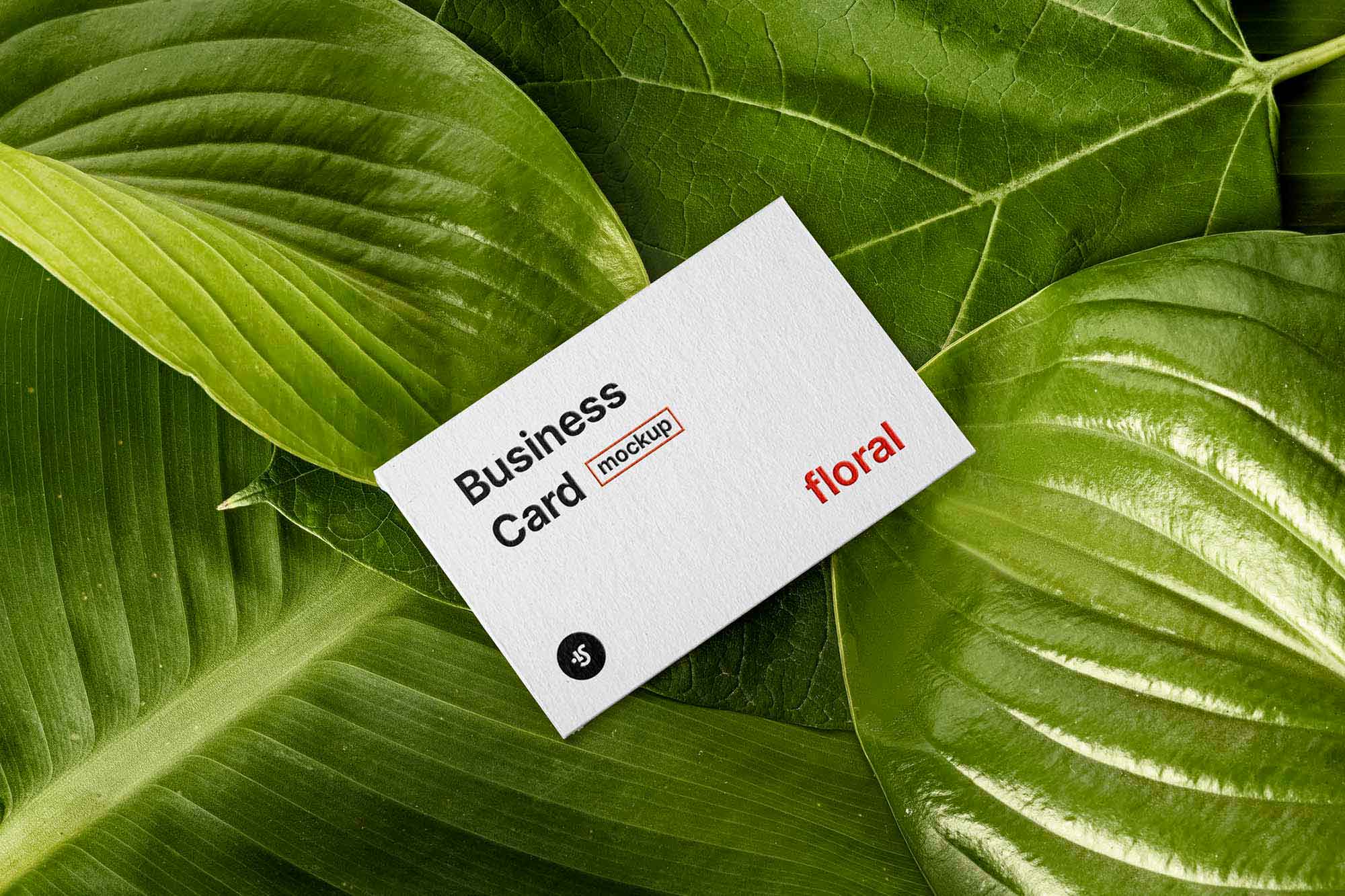 Free Floral Business Card Mockup (PSD)