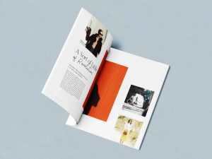 Free Half-open Magazine Mockup (PSD)