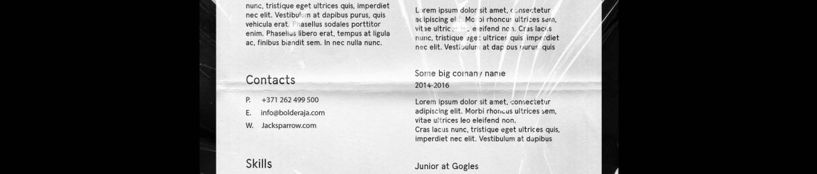 Free Minimal Curriculum Vitae Template