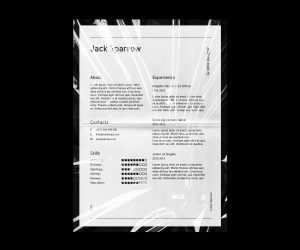 Free Minimal Curriculum Vitae Template