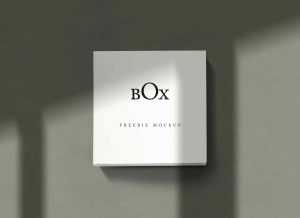 Free Minimal Square Box Mockup (PSD)