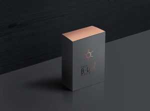 Free Packaging Product Box Mockup (PSD)