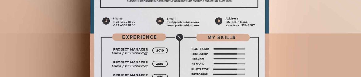 Free Professional Resume Template (PSD)