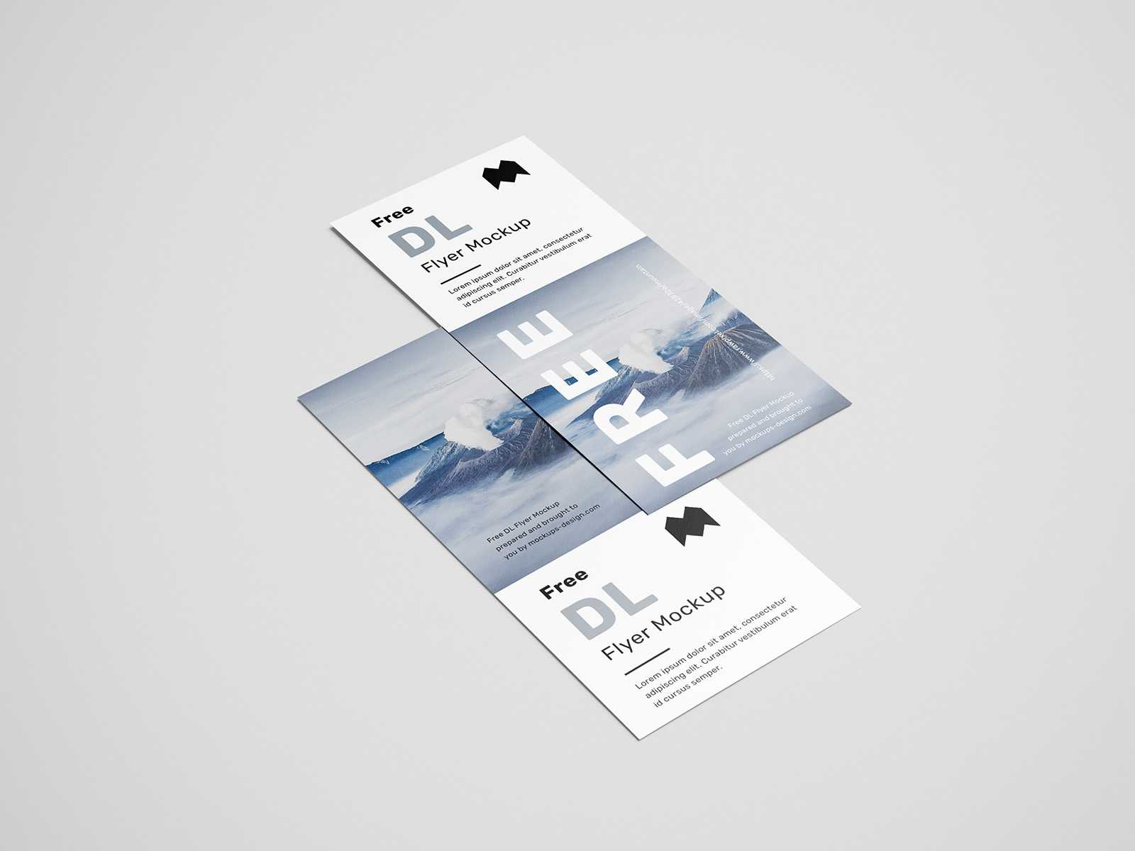 Free simple DL flyers mockup