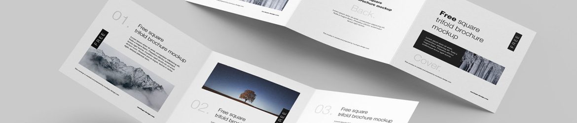 Free square trifold flyer mockup