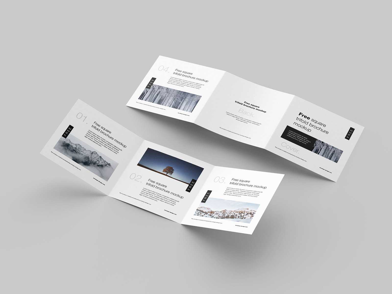 Free square trifold flyer mockup