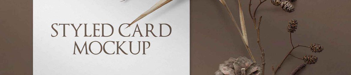 Free Styled Card Mockup (PSD)