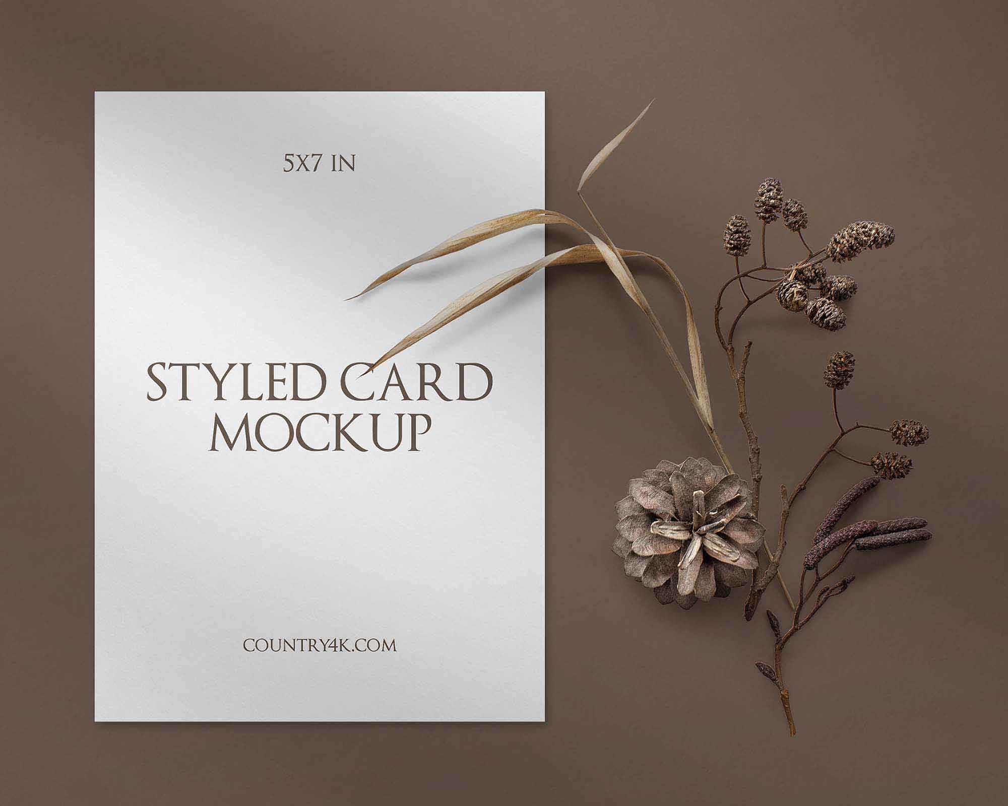 Free Styled Card Mockup (PSD)