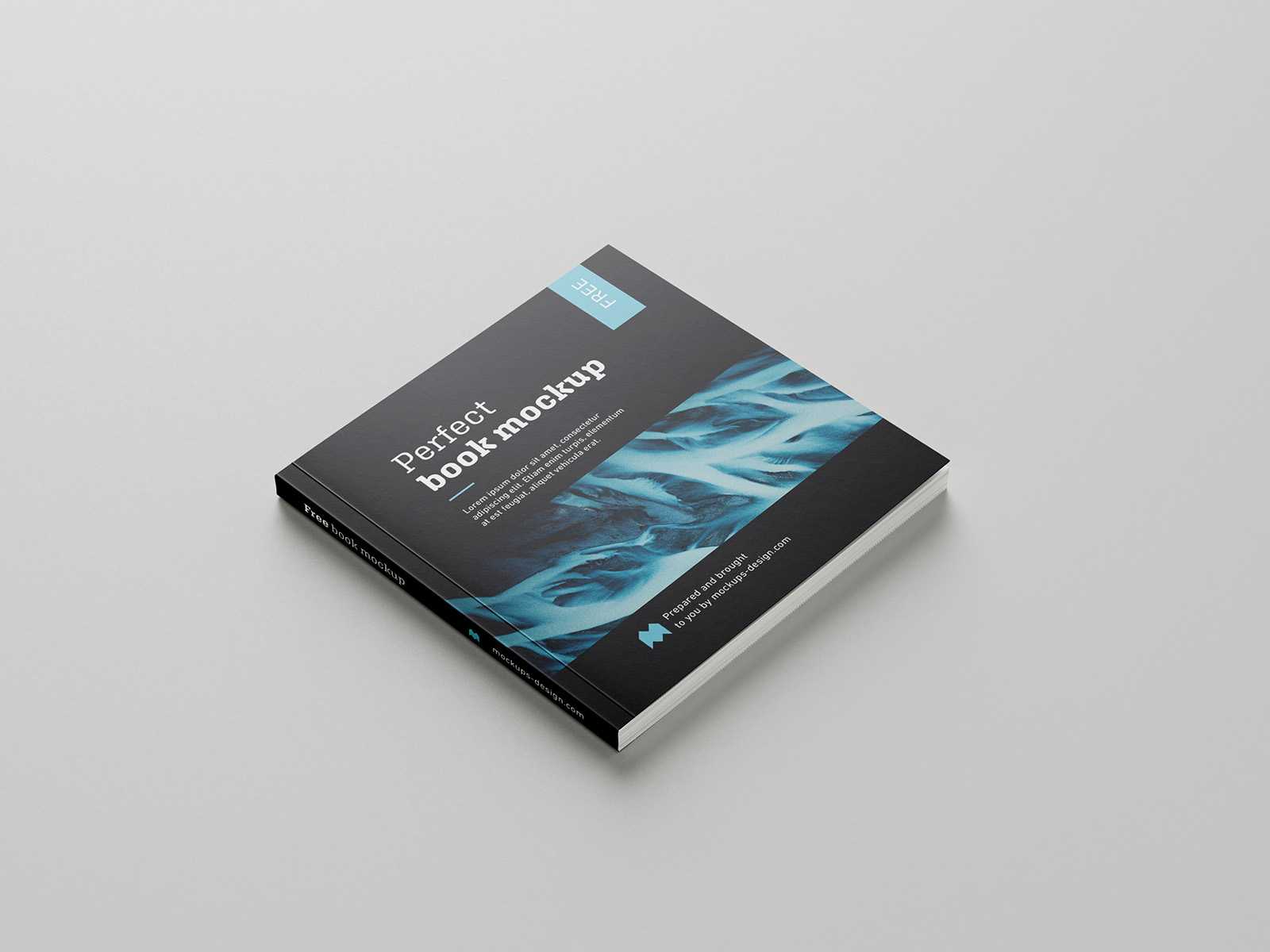 Free thin square book mockup