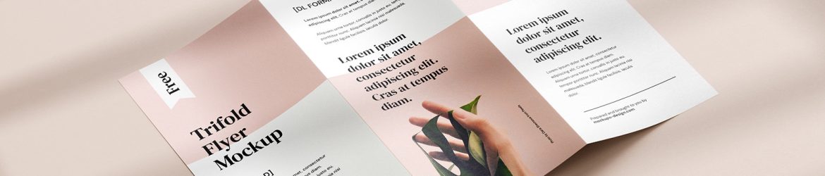 Free tri-fold DL flyer mockup