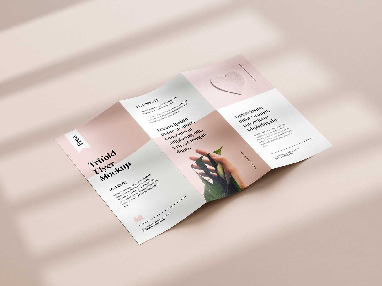 Free tri-fold DL flyer mockup
