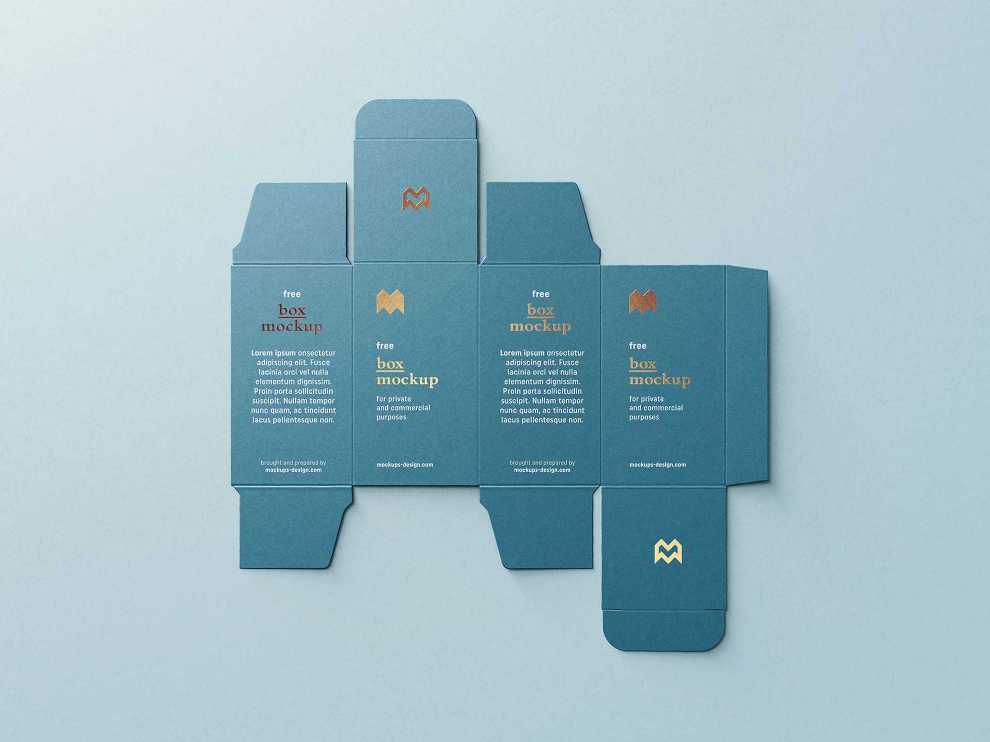 Free Unfolded Box Mockup (PSD)