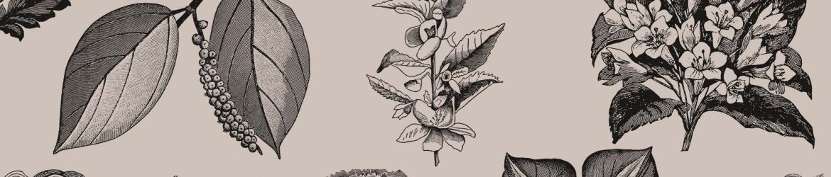 Free Vintage Flowers Graphic Collection (EPS)