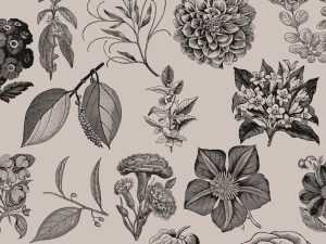 Free Vintage Flowers Graphic Collection (EPS)