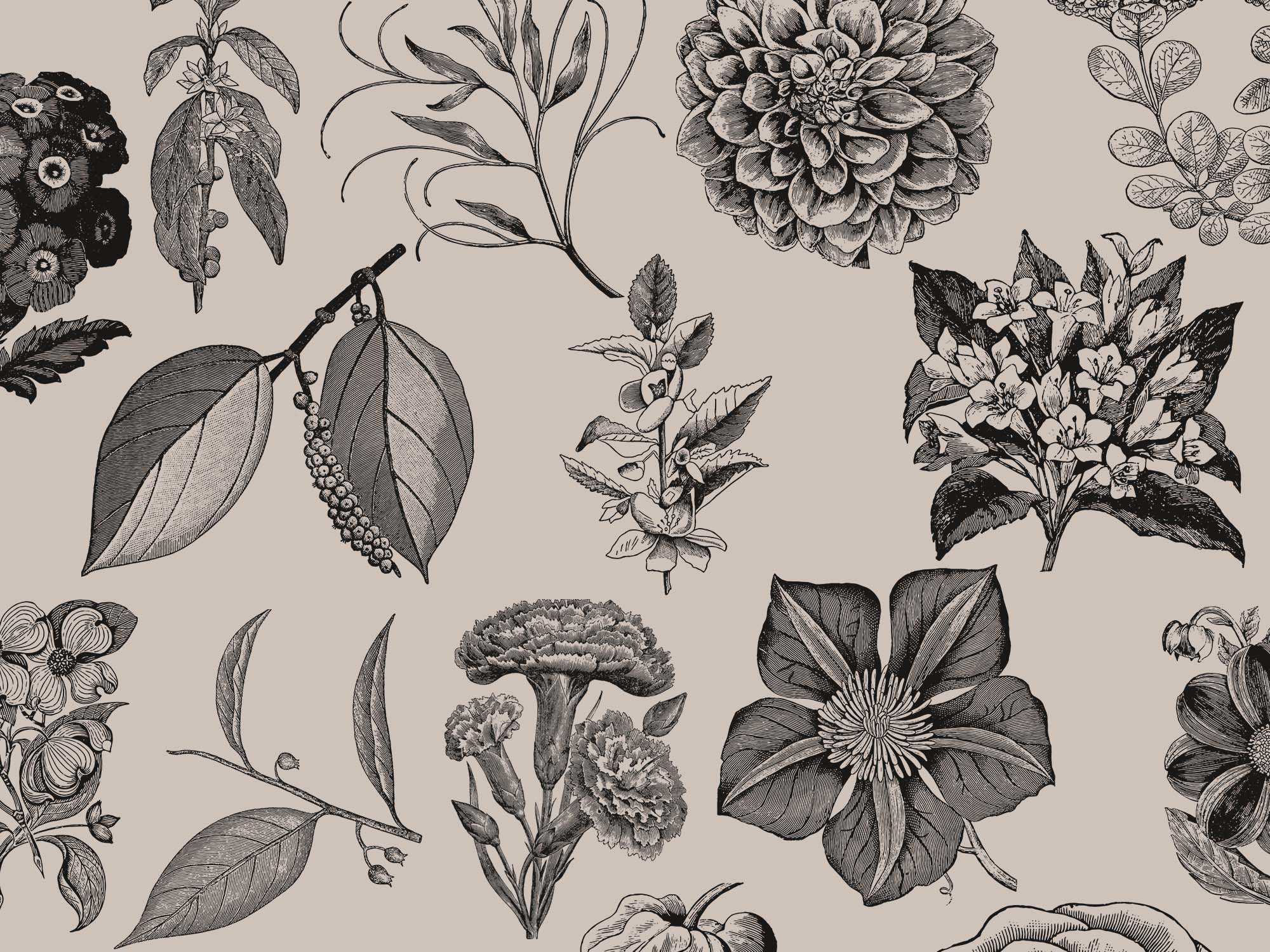 Free Vintage Flowers Graphic Collection (EPS)