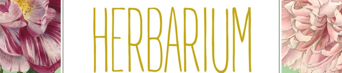 Free Vintage Herbarium Illustrations (PNG)